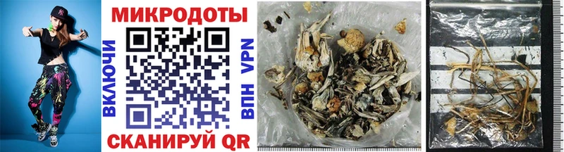 Галлюциногенные грибы Psilocybe  Кирс 